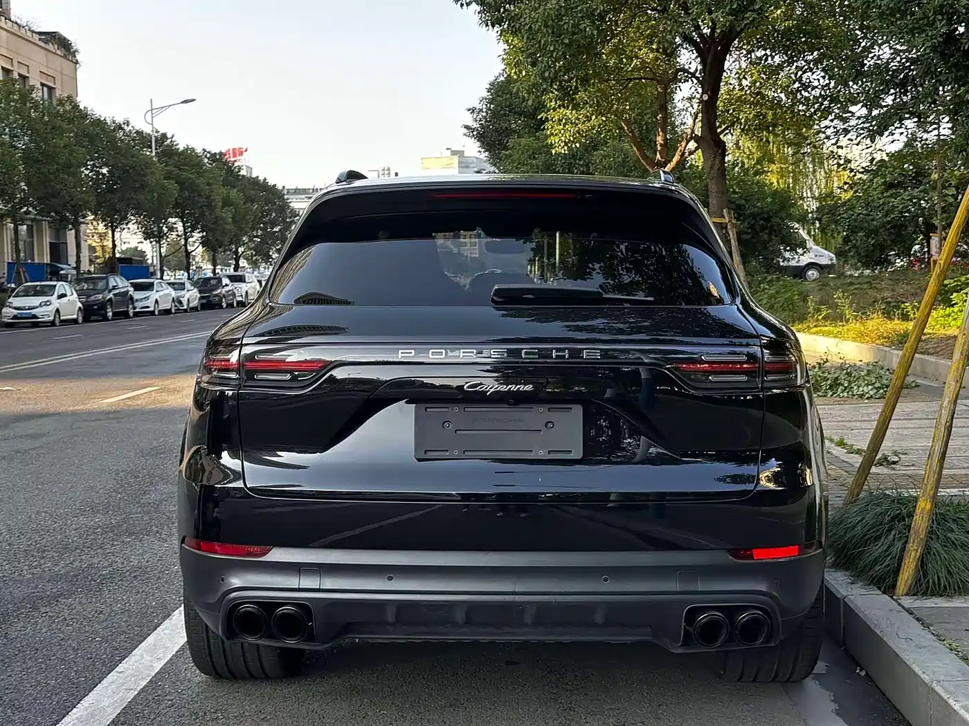 Porsche Cayenne 2018 Cayenne 3.0T фото 4
