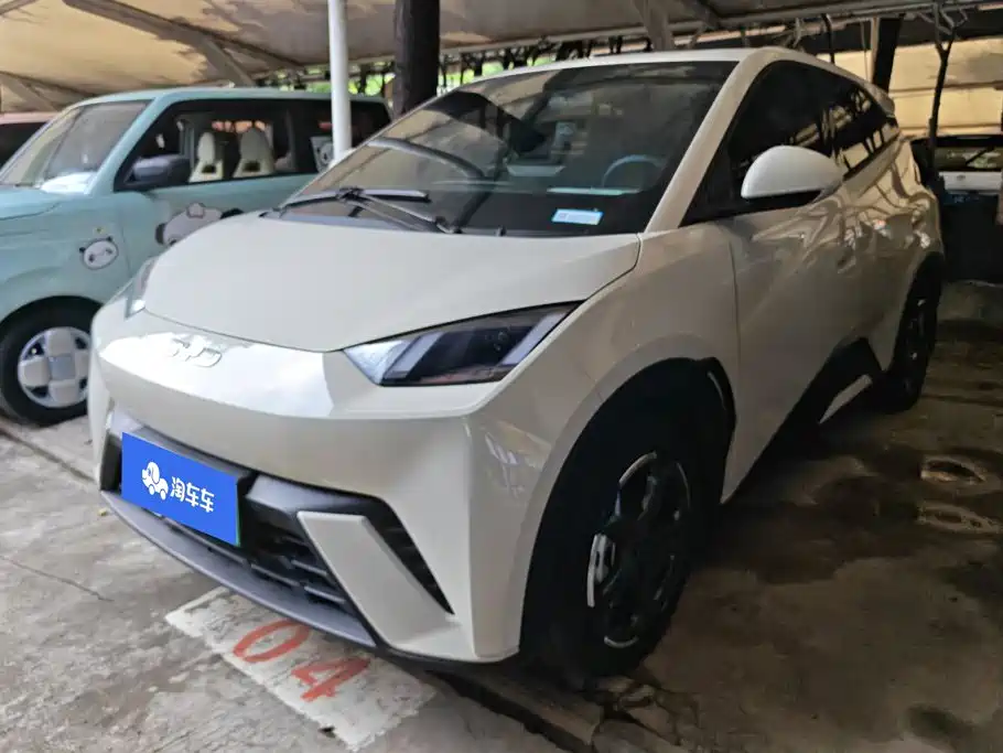 BYD Seagull 2024