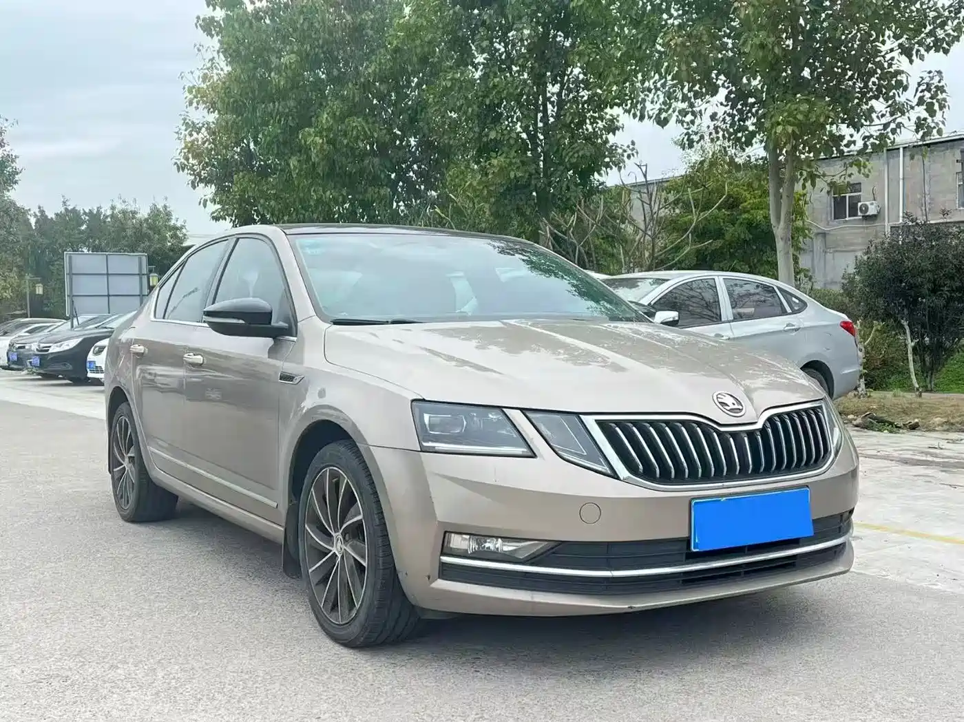 Škoda Octavia 2019 TSI280 DSG Smart Drive Luxury Edition China VI фото 3