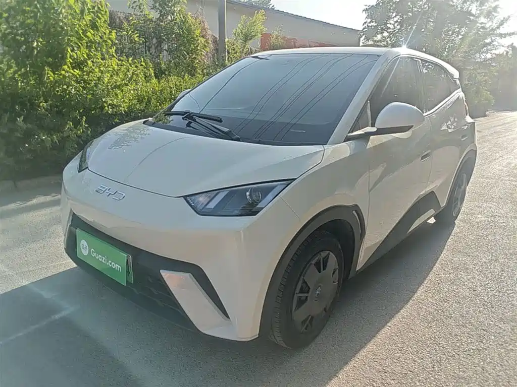 BYD Seagull 2024 Glory Edition 305km Vitality Edition