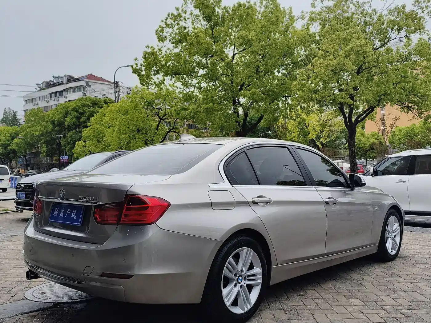 BMW 3 Series 2013 320Li Style Design Package фото 4