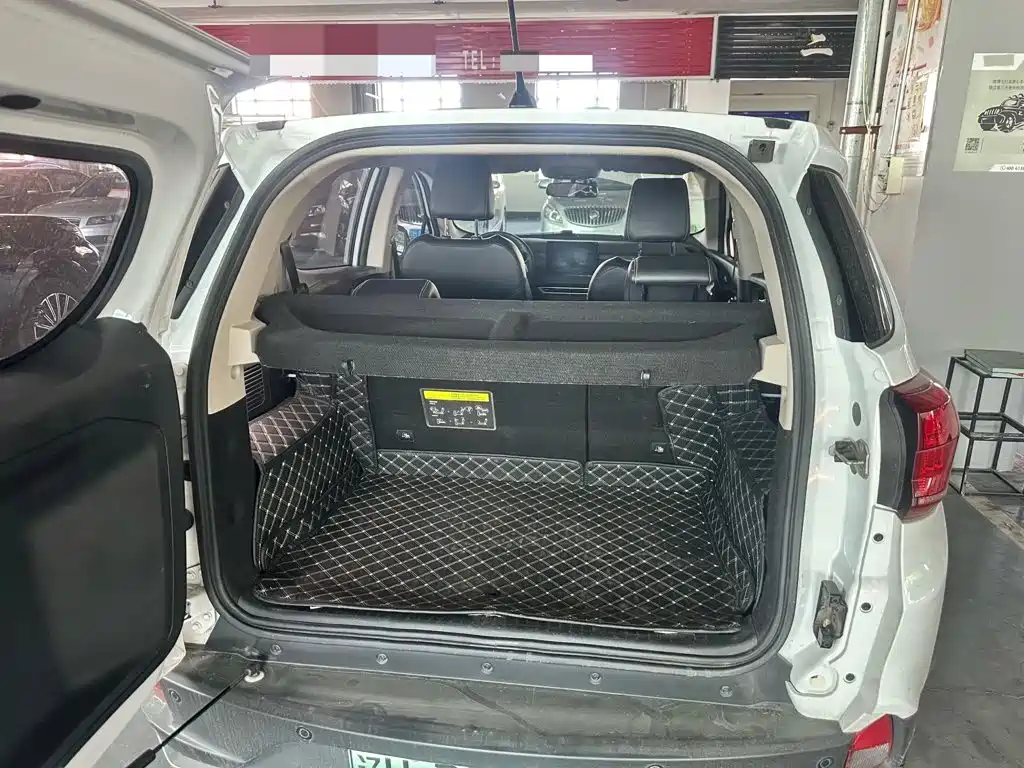 BYD Yuan New Energy 2020 2019 EV535 Smart Connection Leading Type