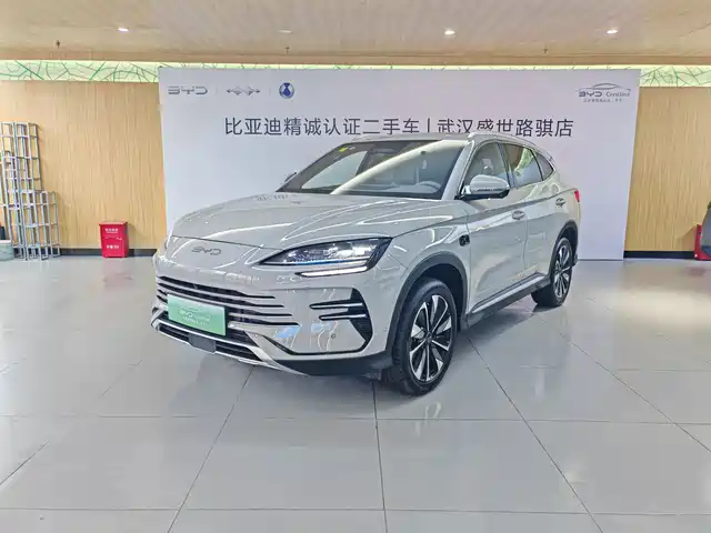BYD SONGJIANG NEW ENERGY