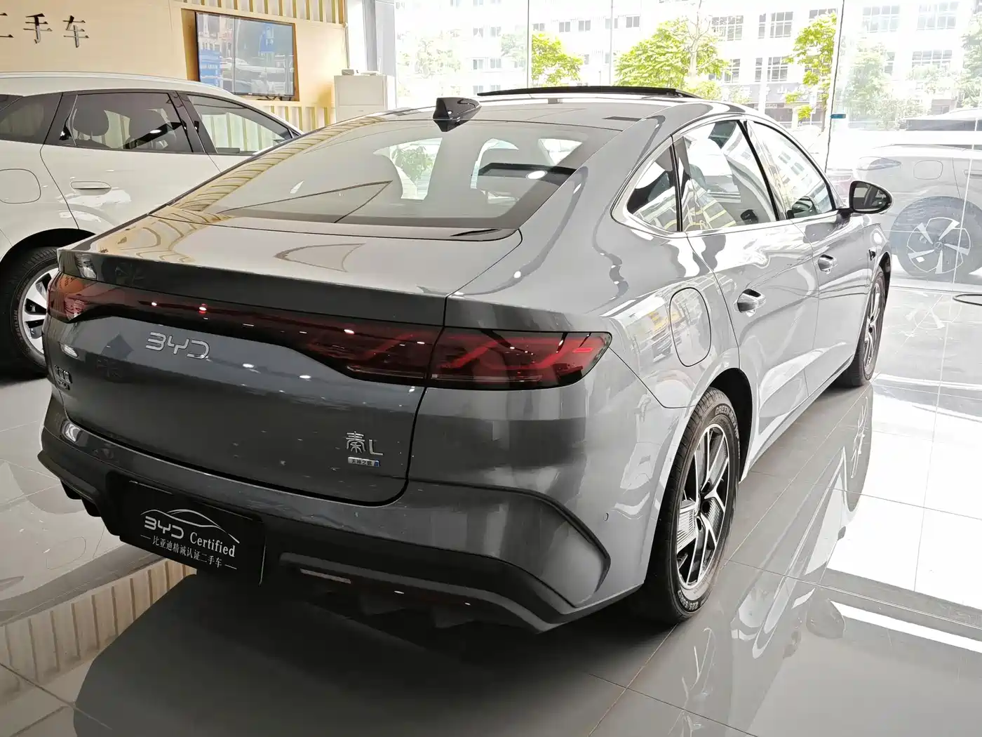 BYD QIN L