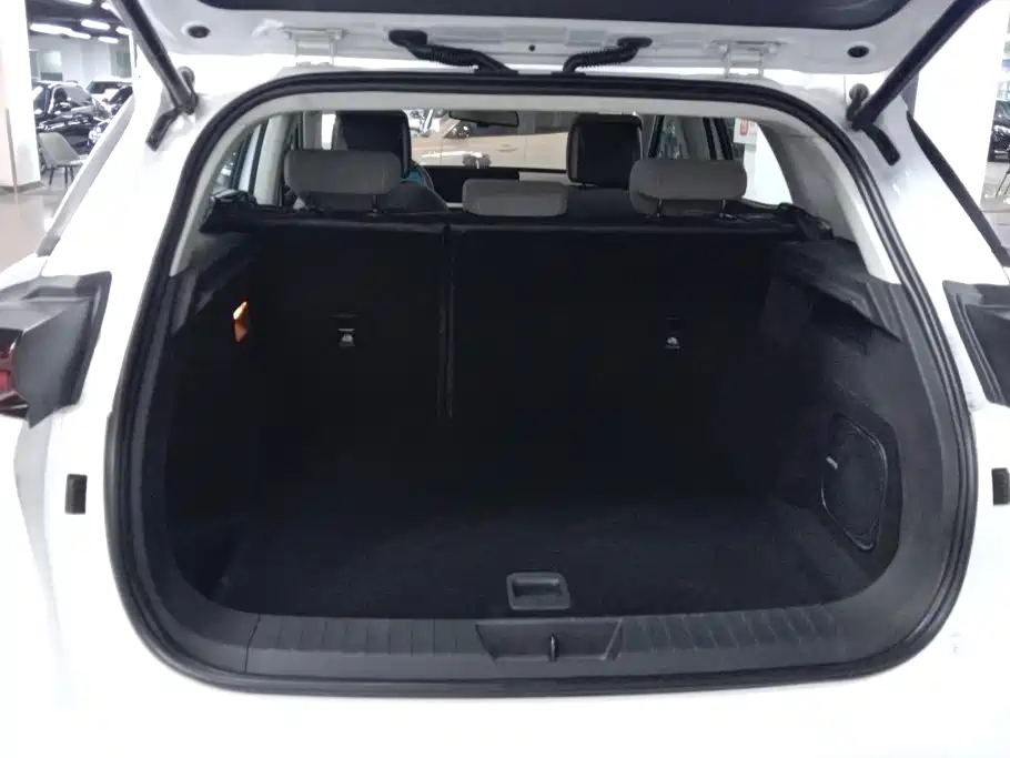 Besturn Bestune E01 2021 2020 Space Curvature Custom Edition