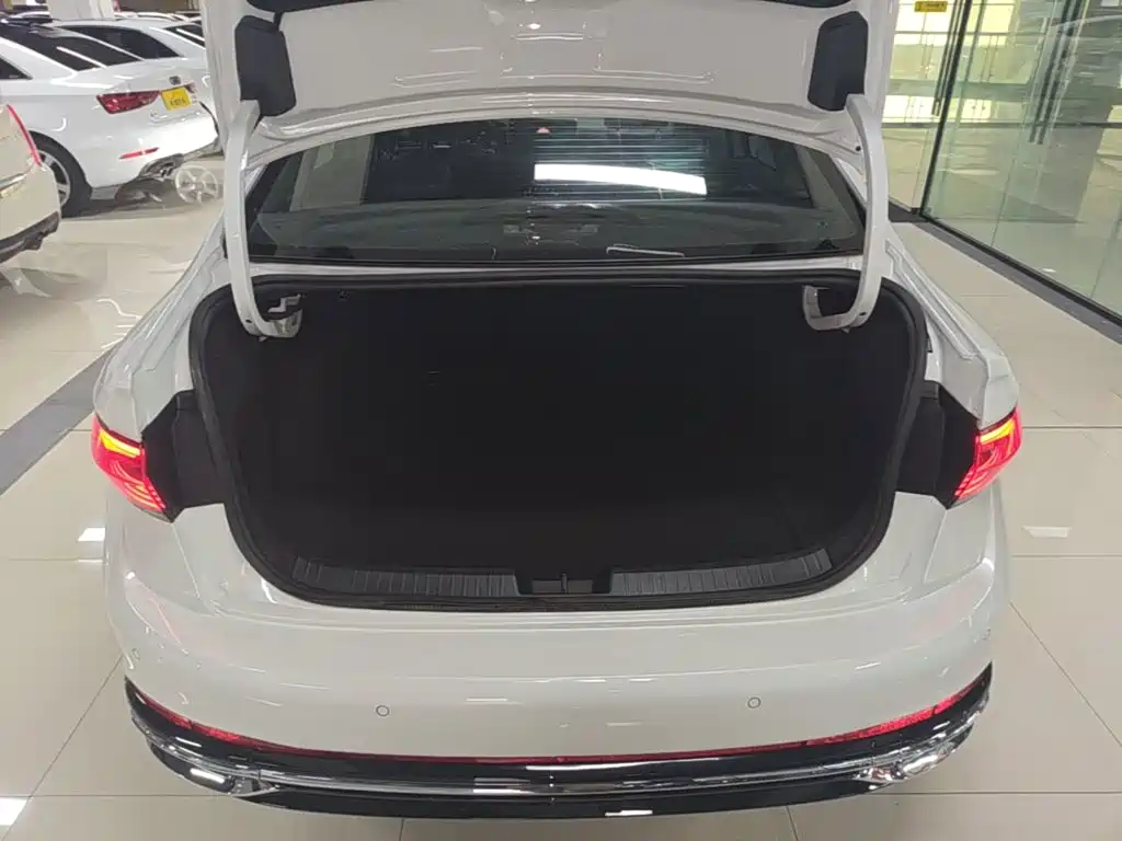Volkswagen Sagitar, миниатюра 19