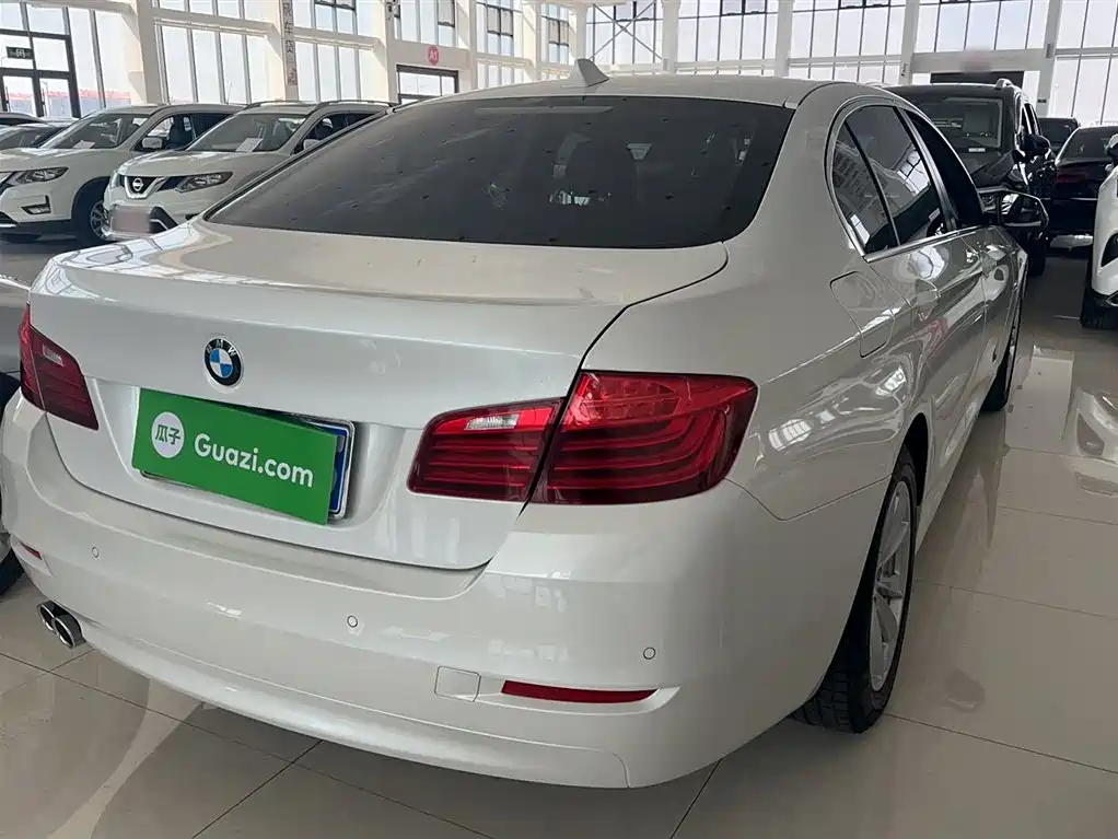 BMW 5 Series 2014 520Li Elegance фото 9