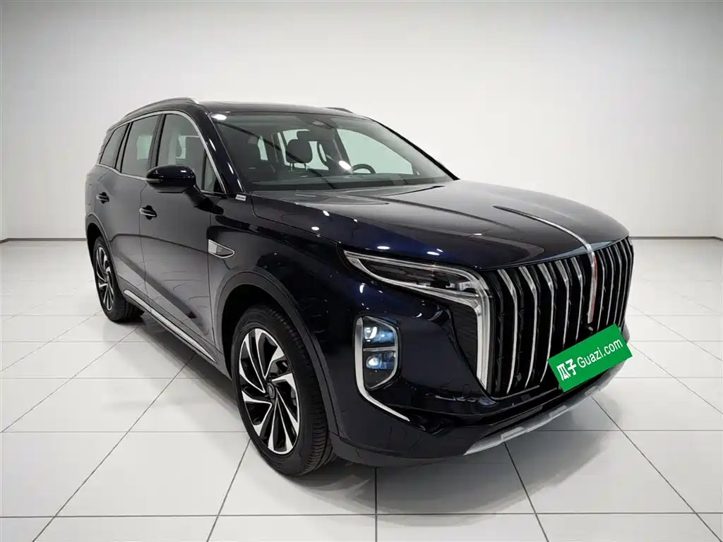 Hongqi HS7 PHEV 2024 2.0T PHEV AWD Qichang Edition 7-seater фото 22
