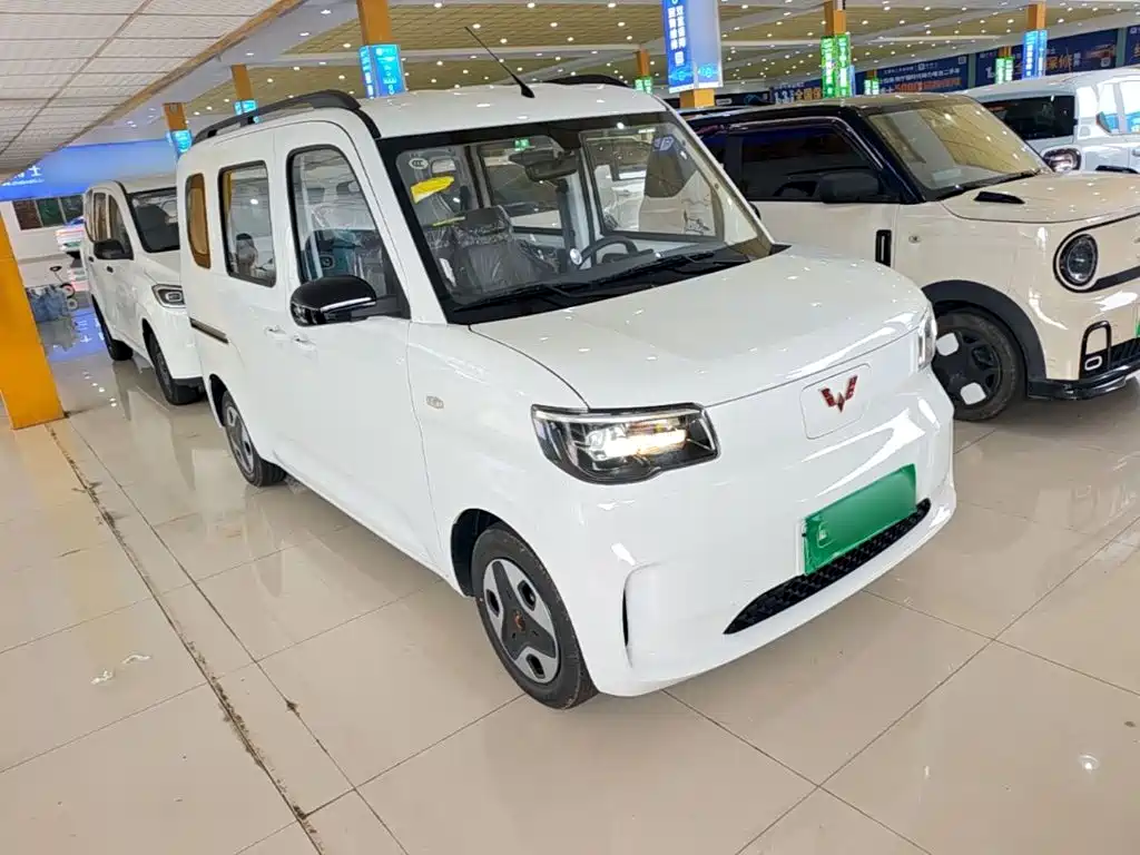 Wuling Motors Wuling Zhiguang NEV 2026 2025 Model 305km Base Version