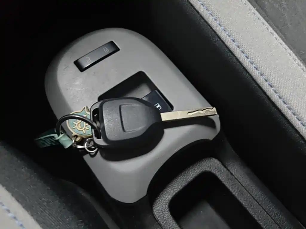 Ora Black Cat 2019 2019 Model 351km Smart Fun Edition