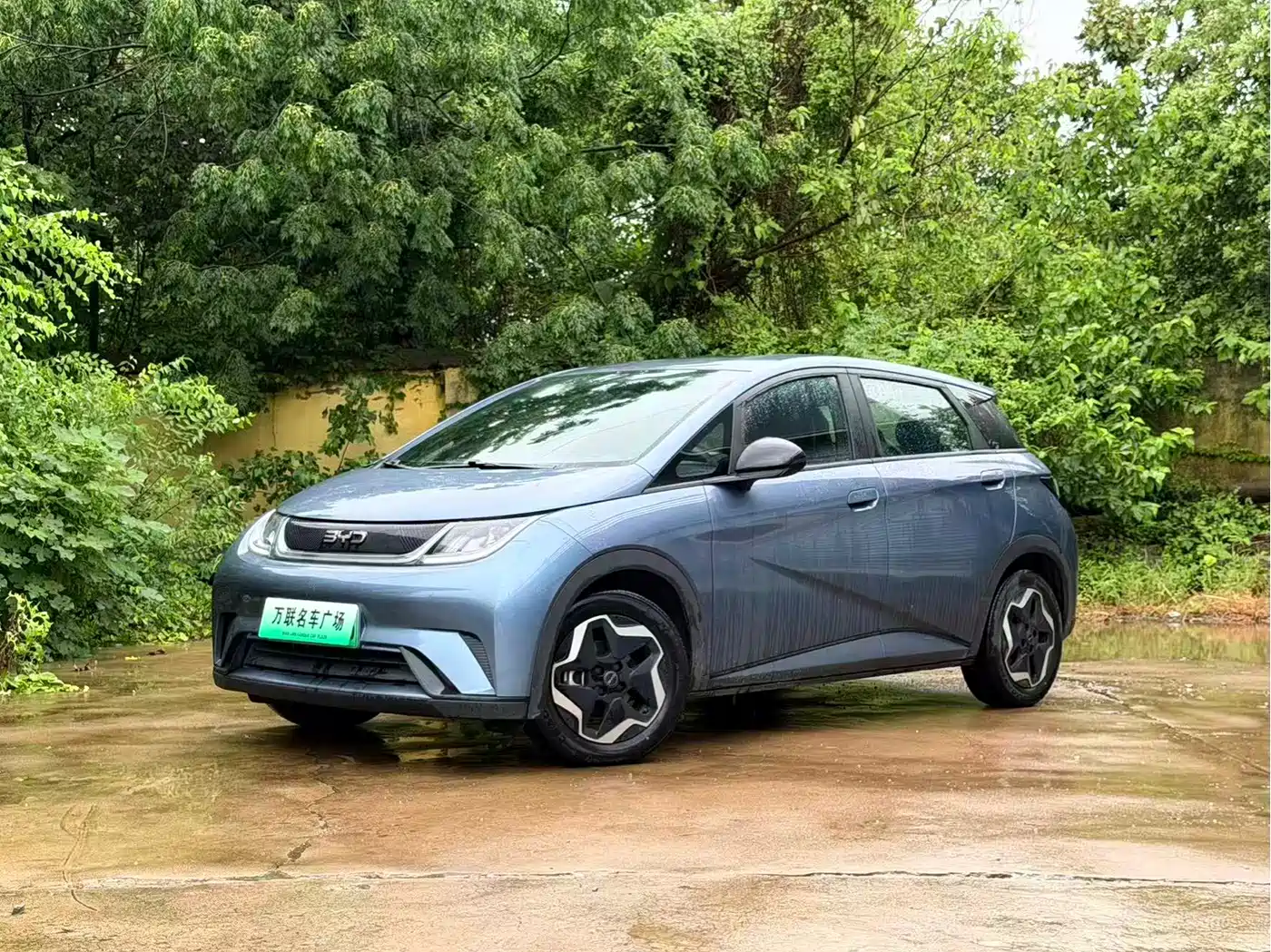 BYD Dolphin 2025