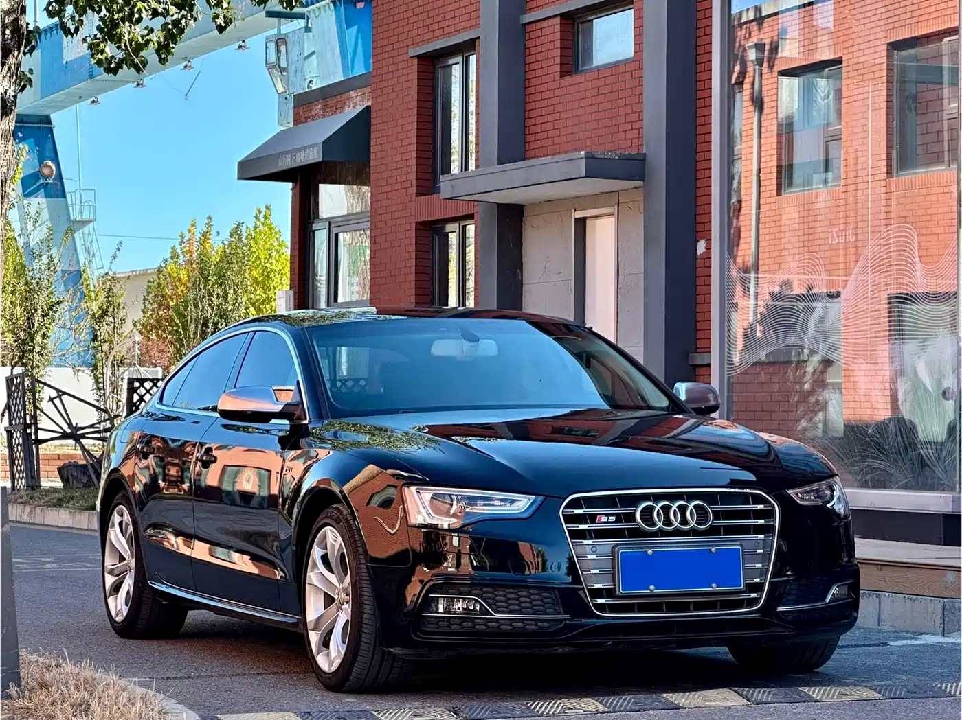 Audi S5 2012 S5 3.0T Sportback фото 3
