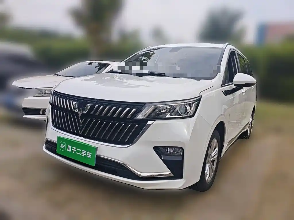 Wuling Motors Wuling Jiachen 2024 2022 1.5T CVT Smart Luxury