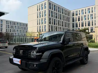 Tank 300