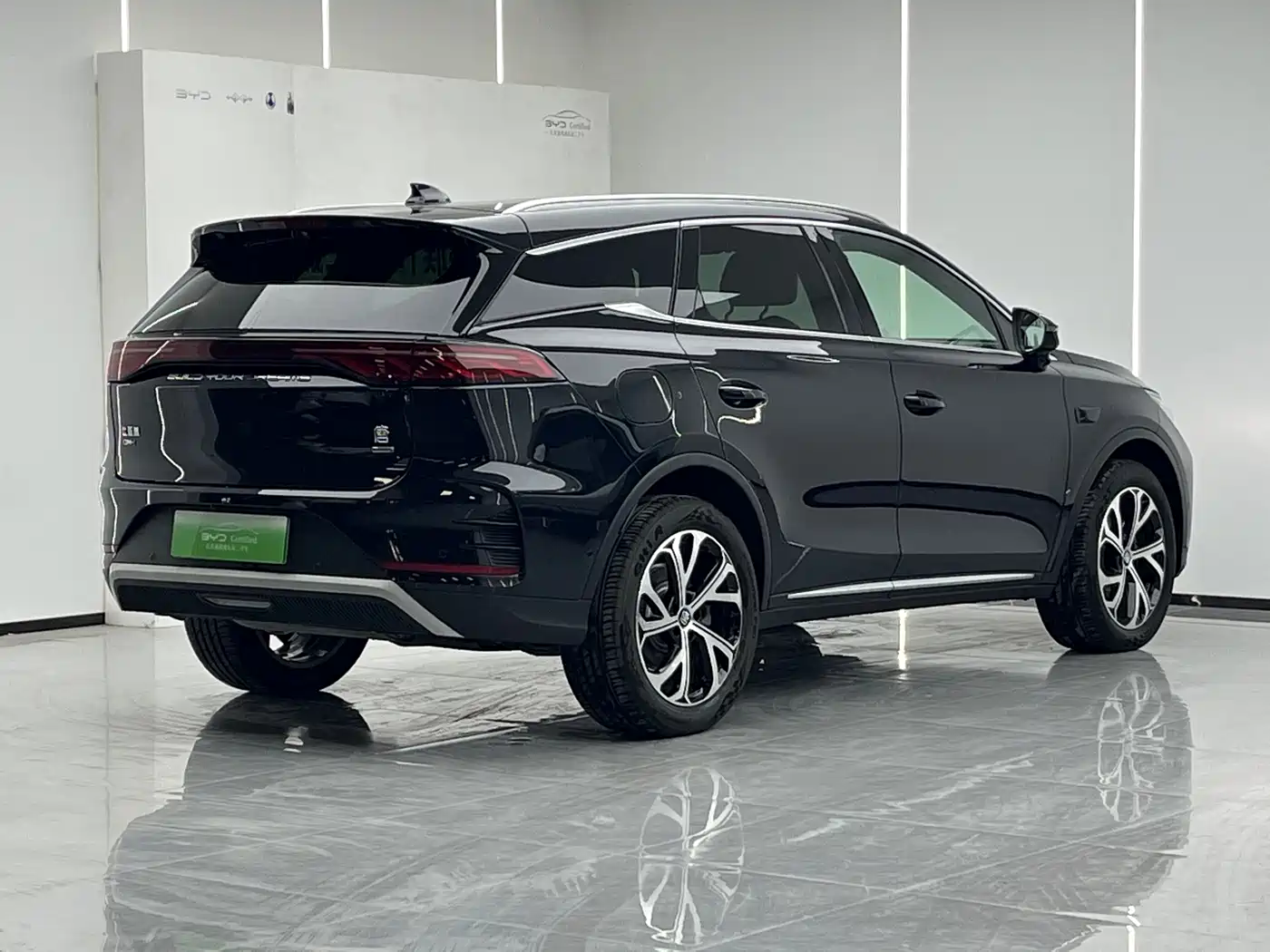 BYD Tang New Energy 2025 2025 Smart Driving Edition DM-i 115KM Flagship