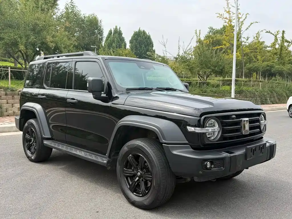 Tank 300 2021 2021 Off-road Version 2.0T Conqueror