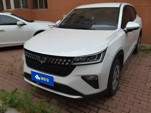  Wuling Motors Wuling Xingchi 2022 1.5L Manual Freedom Edition