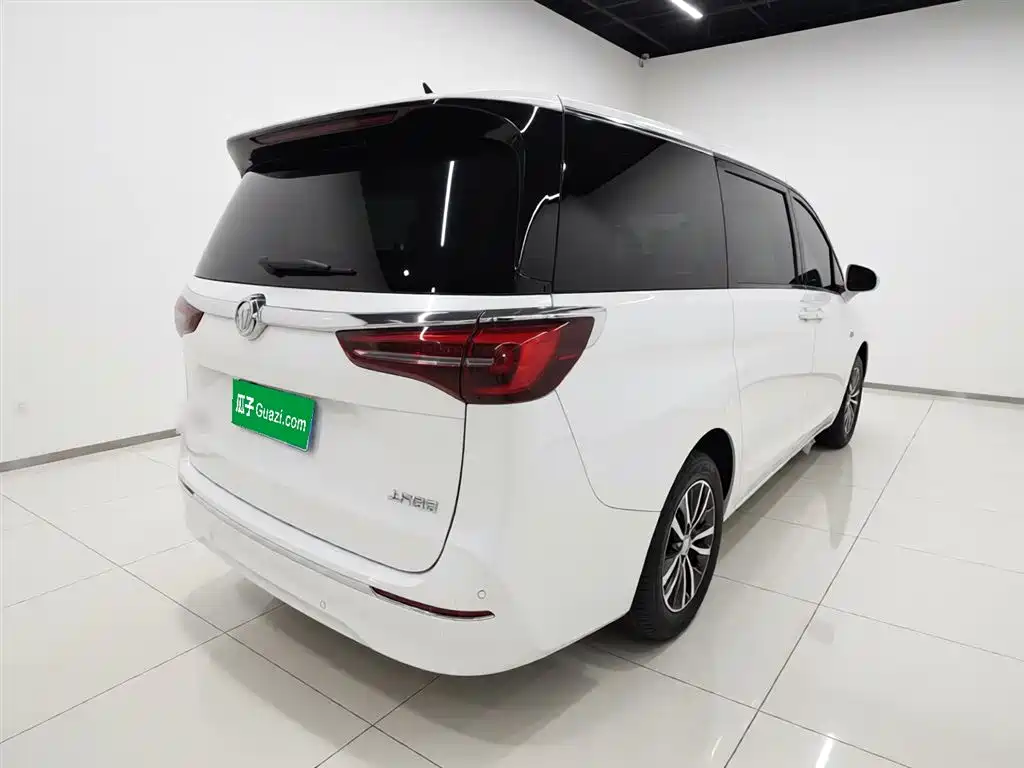 Buick GL8 2021 ES Landlord 653T Comfort фото 7