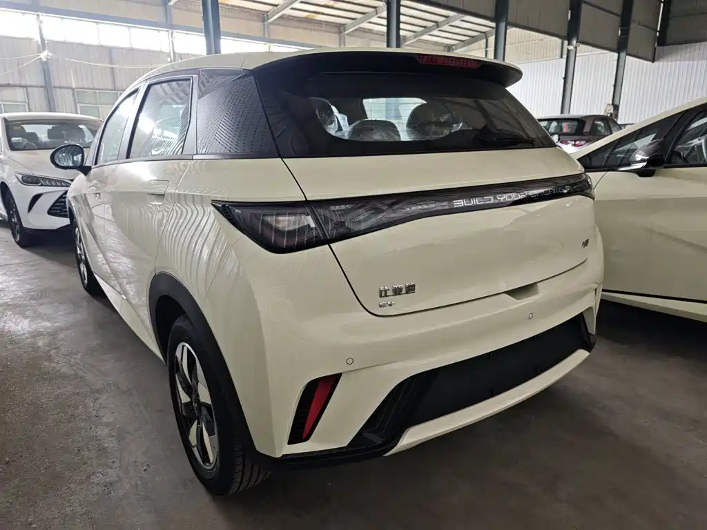 BYD Dolphin 2026 2025 420km Freedom Edition