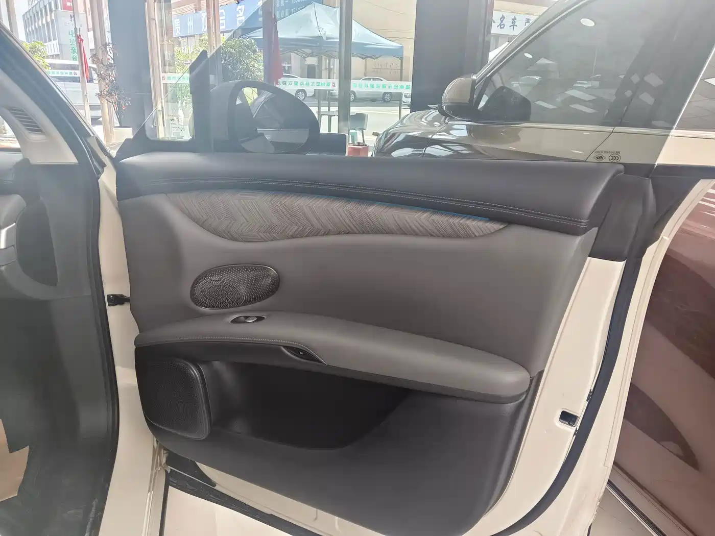 IM Motors IM LS6 2025 2025 Gecko Smart Drive Edition