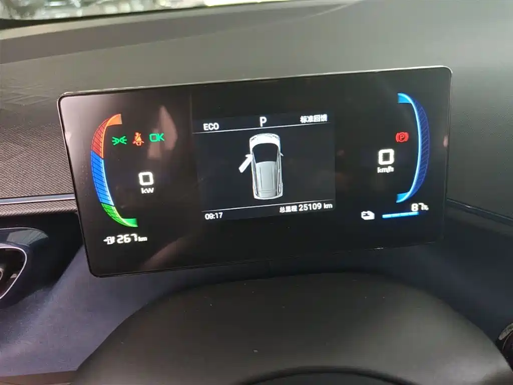 BYD Seagull 2024 Glory Edition 305km Freedom Edition фото 12