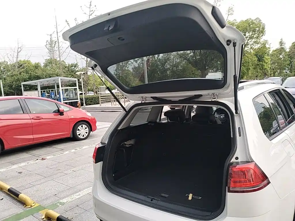 Volkswagen Golf (Import) 2016 2015 1.4TSI Comfort Wagon