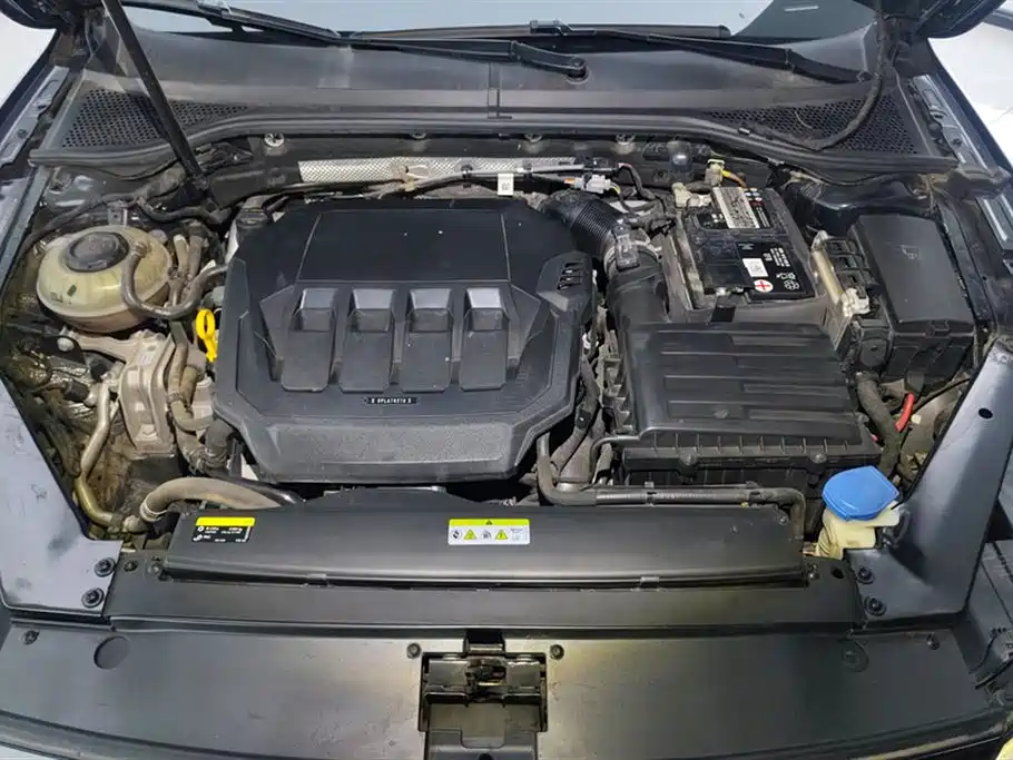 Volkswagen Magotan 2020 330TSI DSG Leading фото 10