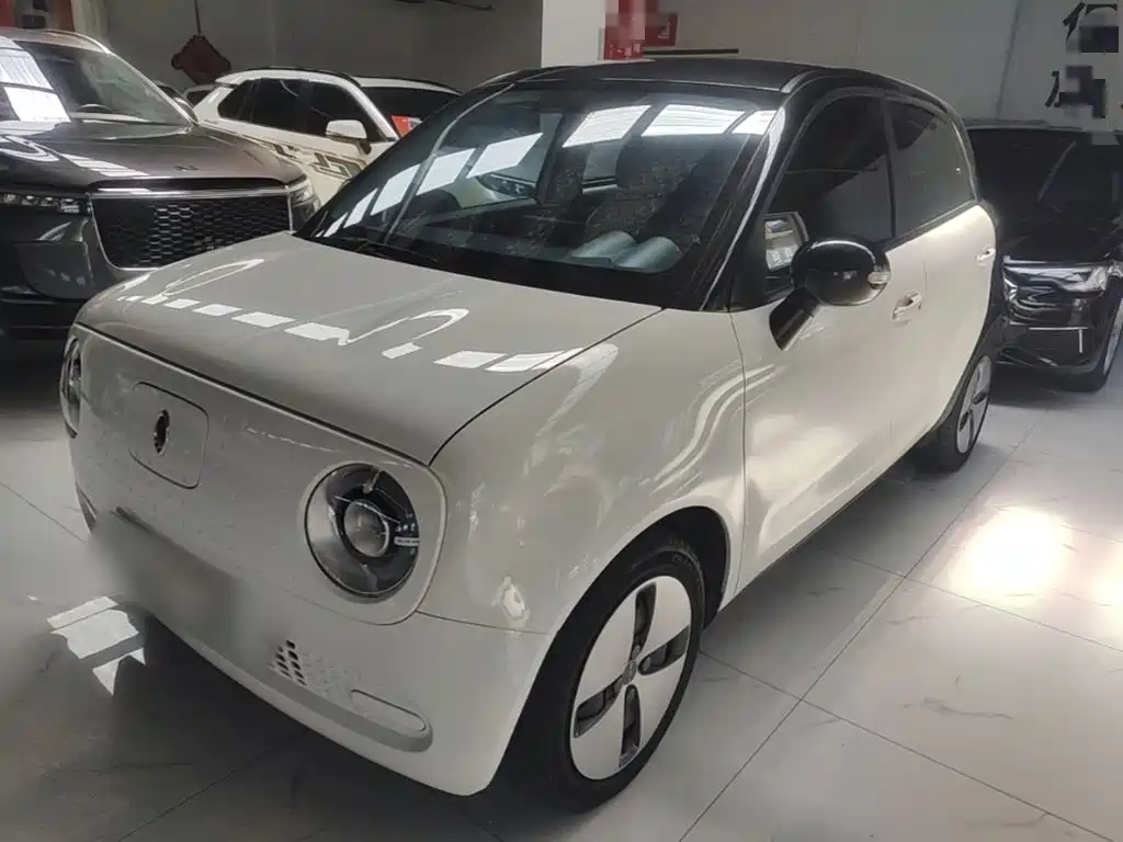 Ora Black Cat 2019 301km Standard