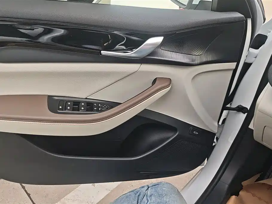 BYD Qin PLUS 2024 Glory Edition DM-i 55KM Leading фото 7