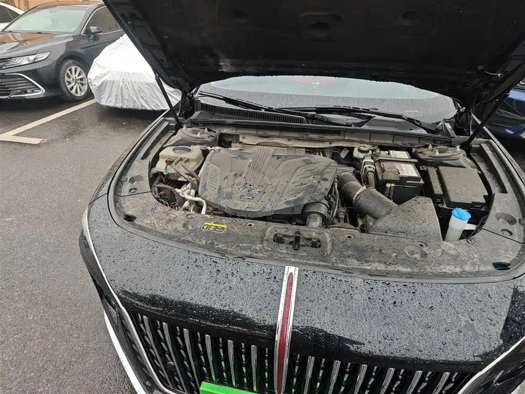 Hongqi H5 2023 1.5T DCT Smart Connect Flag Rhythm фото 21