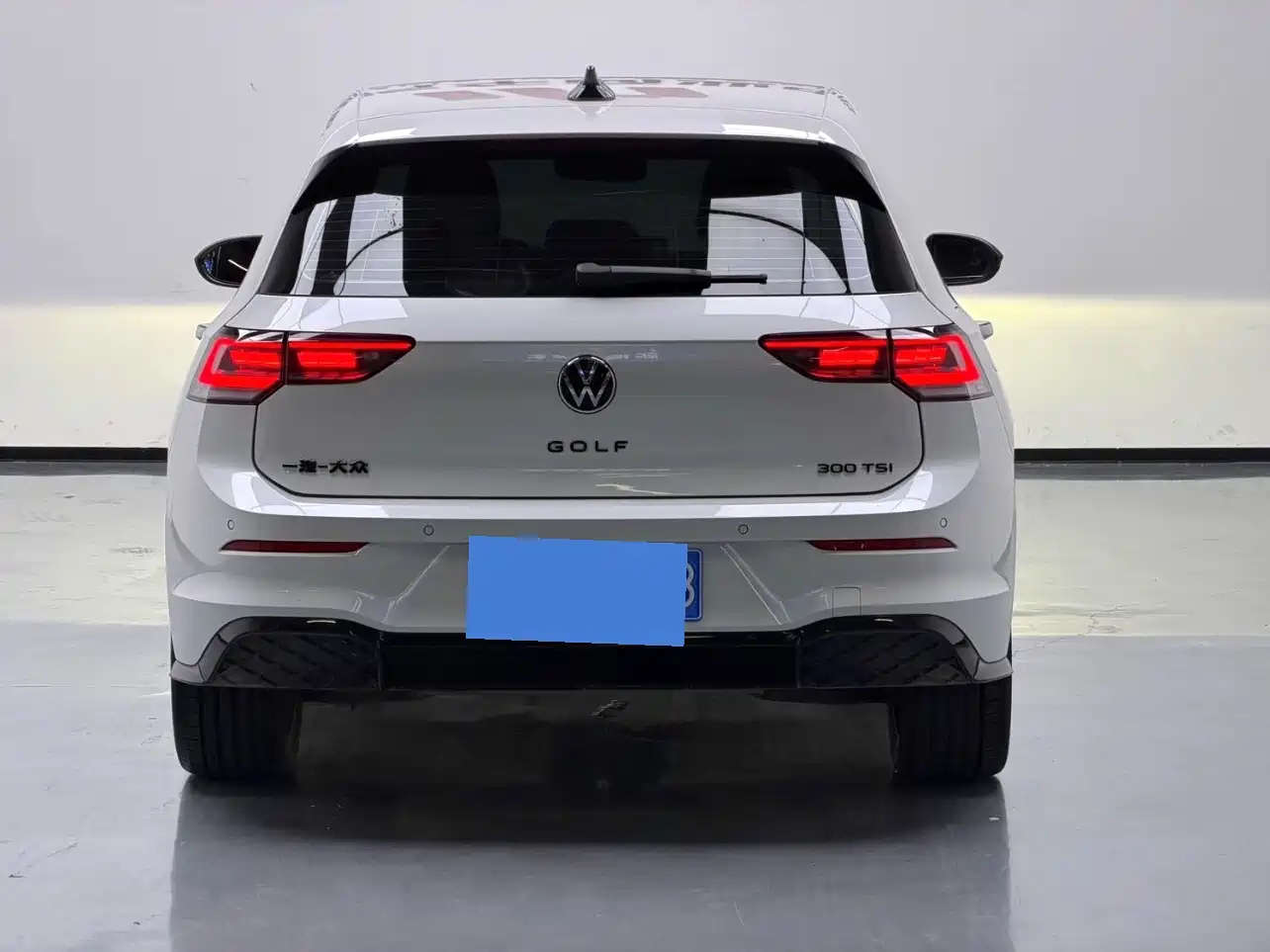 Volkswagen Golf 2024 2025 300TSI R-Line