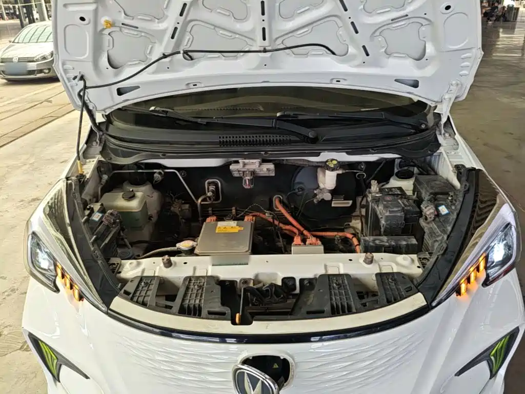 Changan Benben E-Star 2020 2020 Heartbeat Edition (NMC Battery)