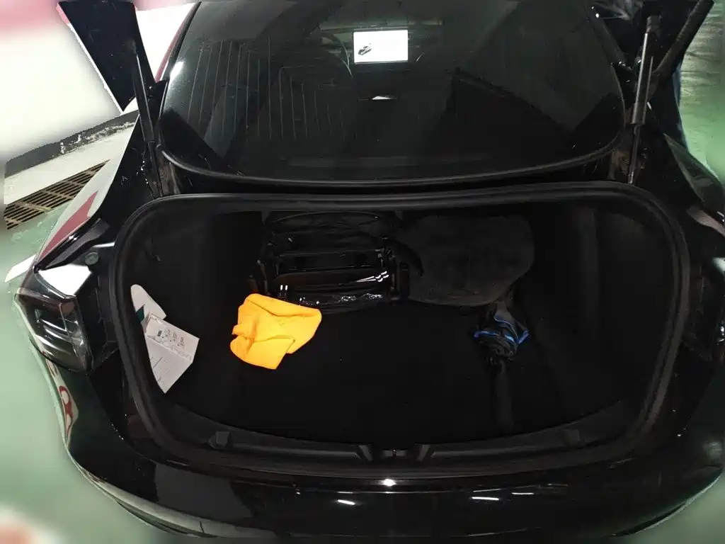 Tesla Model 3 2020 2020 Standard Range Rear-Wheel Drive Upgrade