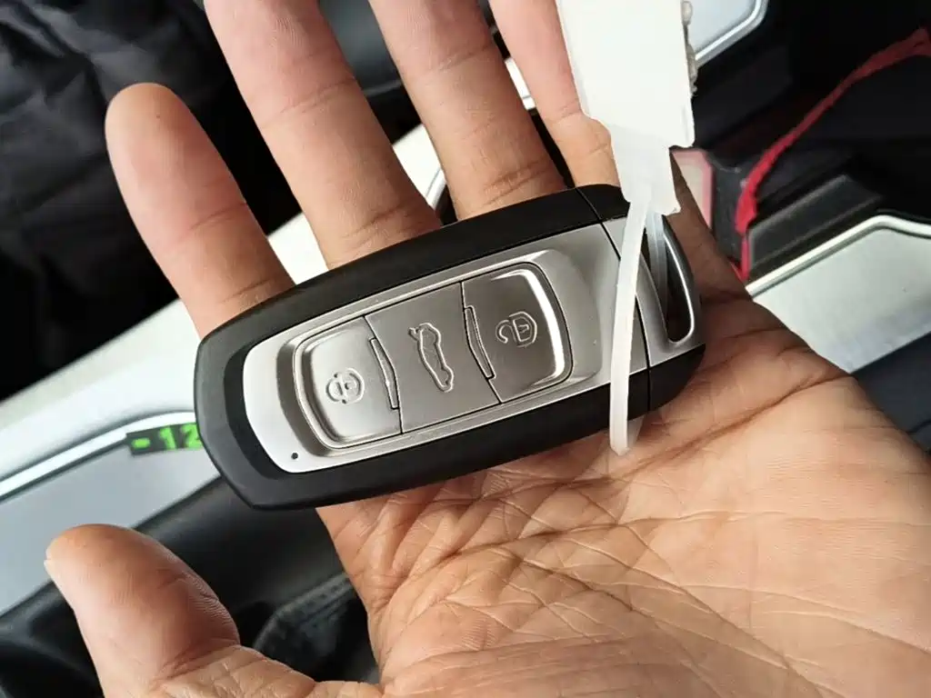 Geely Vision 2019 Upgrade 1.5L CVT Luxury China VI 17