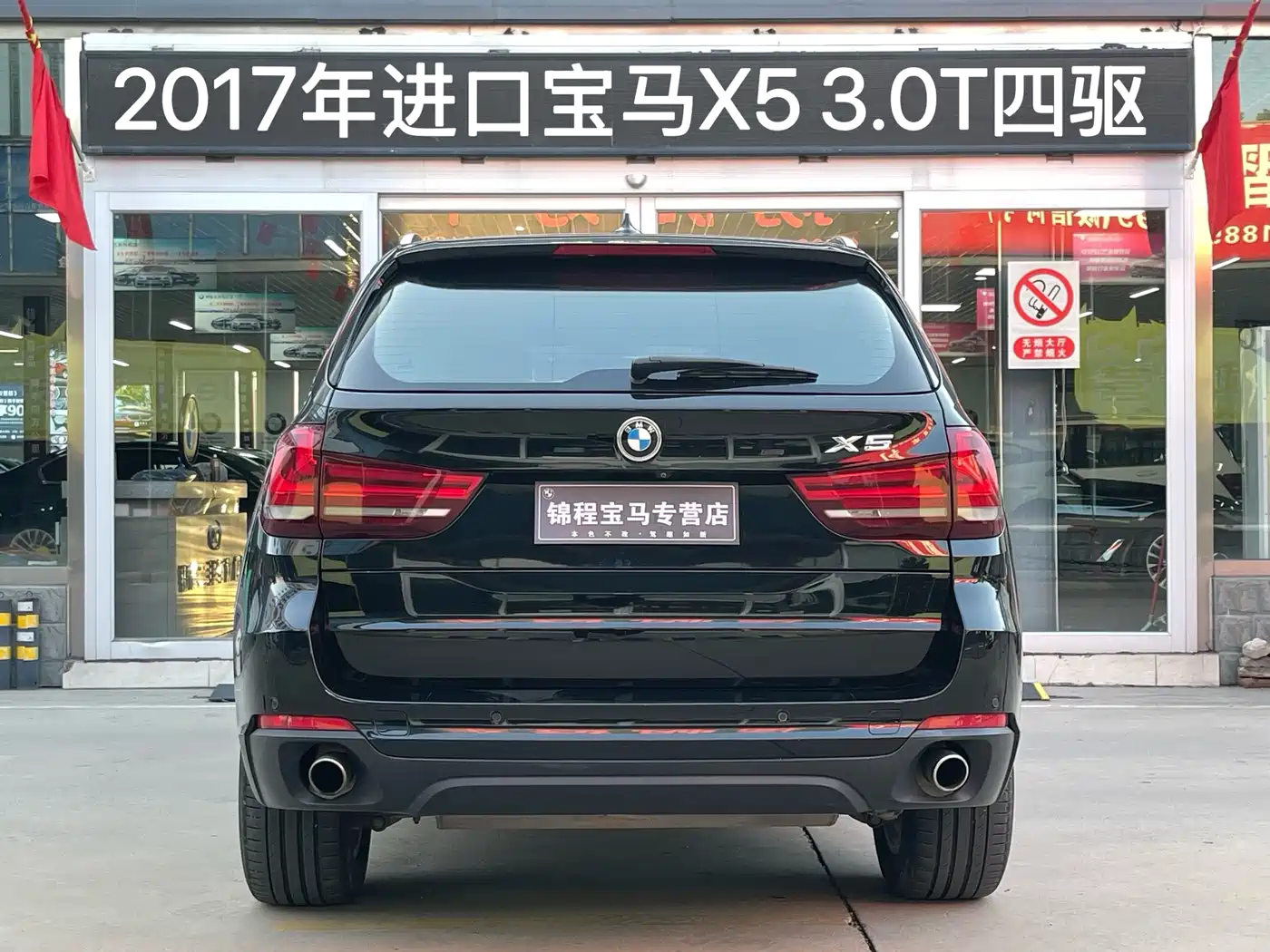 BMW X5 (Import) 2017 xDrive35i Elegance фото 4