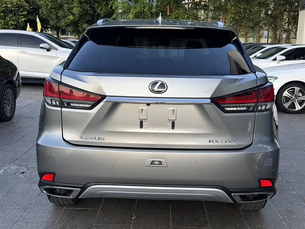 Lexus RX 2020 300 AWD Elegance Edition China V фото 6