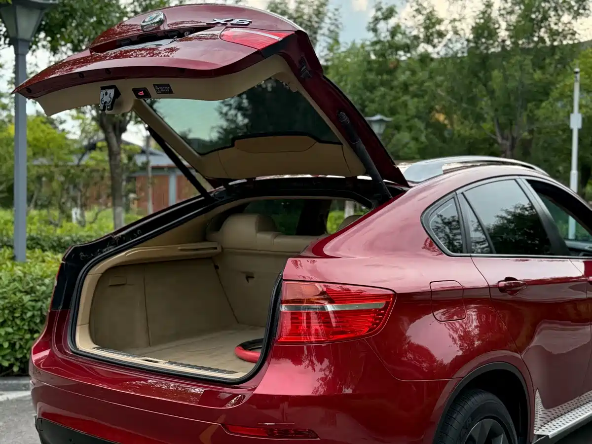 BMW X6 2010 2009 xDrive35i