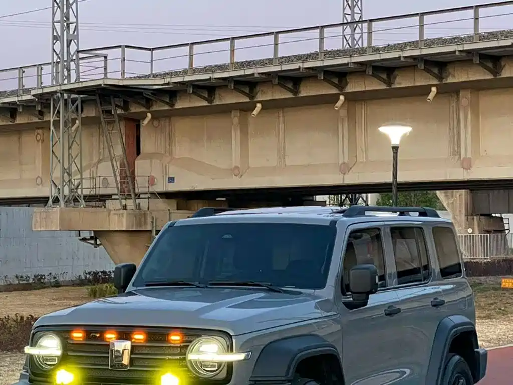 Tank 300 2021 Off-road Version 2.0T Conqueror