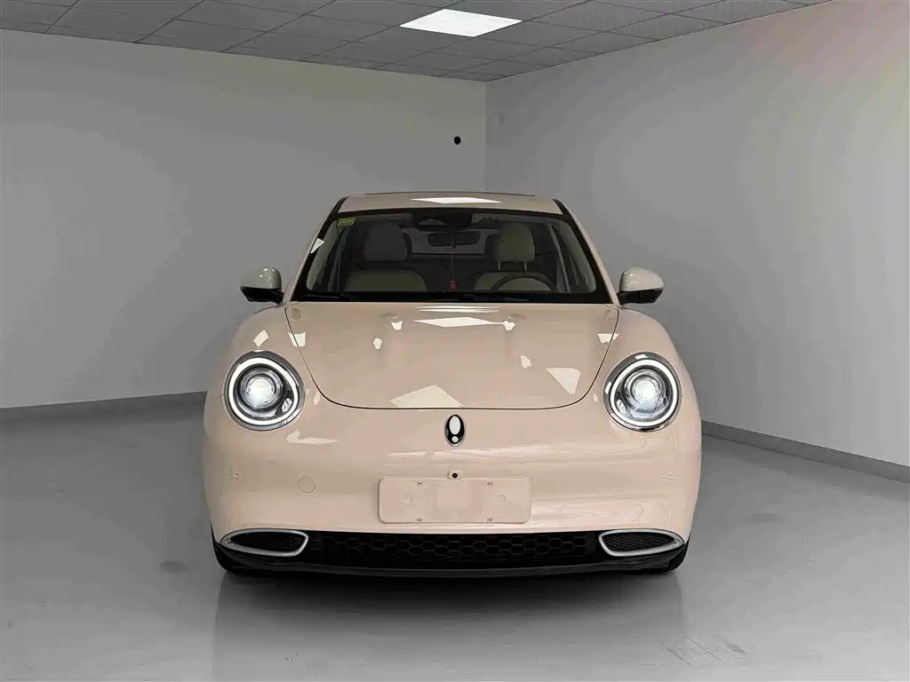 Ora Good Cat 2021 2021 400km Standard Range Venus Edition (LFP)