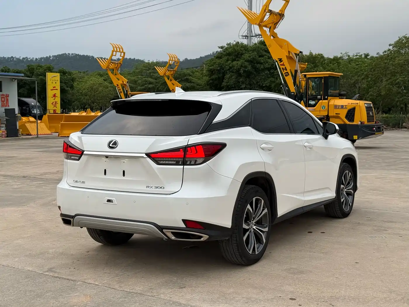 Lexus RX 2020 300 AWD Elegance Edition China V фото 8