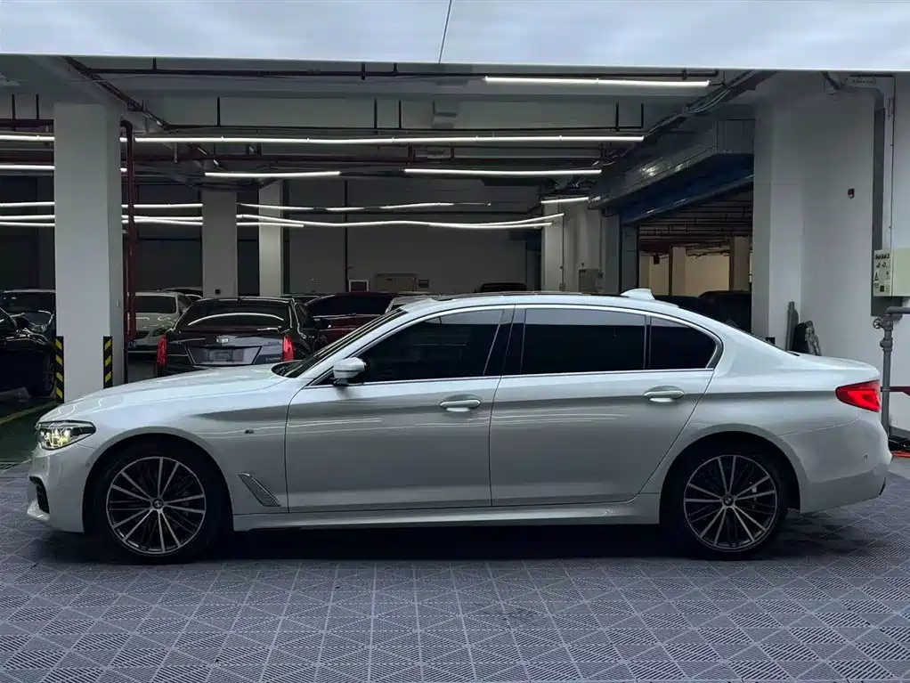 BMW 5 Series 2020 530Li Leading M Sport Package фото 3