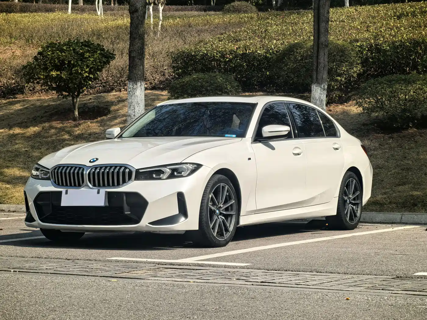 BMW 3 Series 2024 320Li M Sport Package
