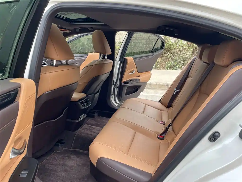 Lexus ES 2021 300h Luxury Edition фото 10