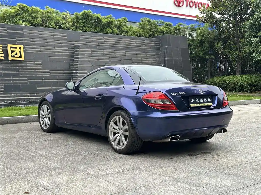 Mercedes-Benz SLK-Class 2010 Model SLK 300 Grand Edition фото 13