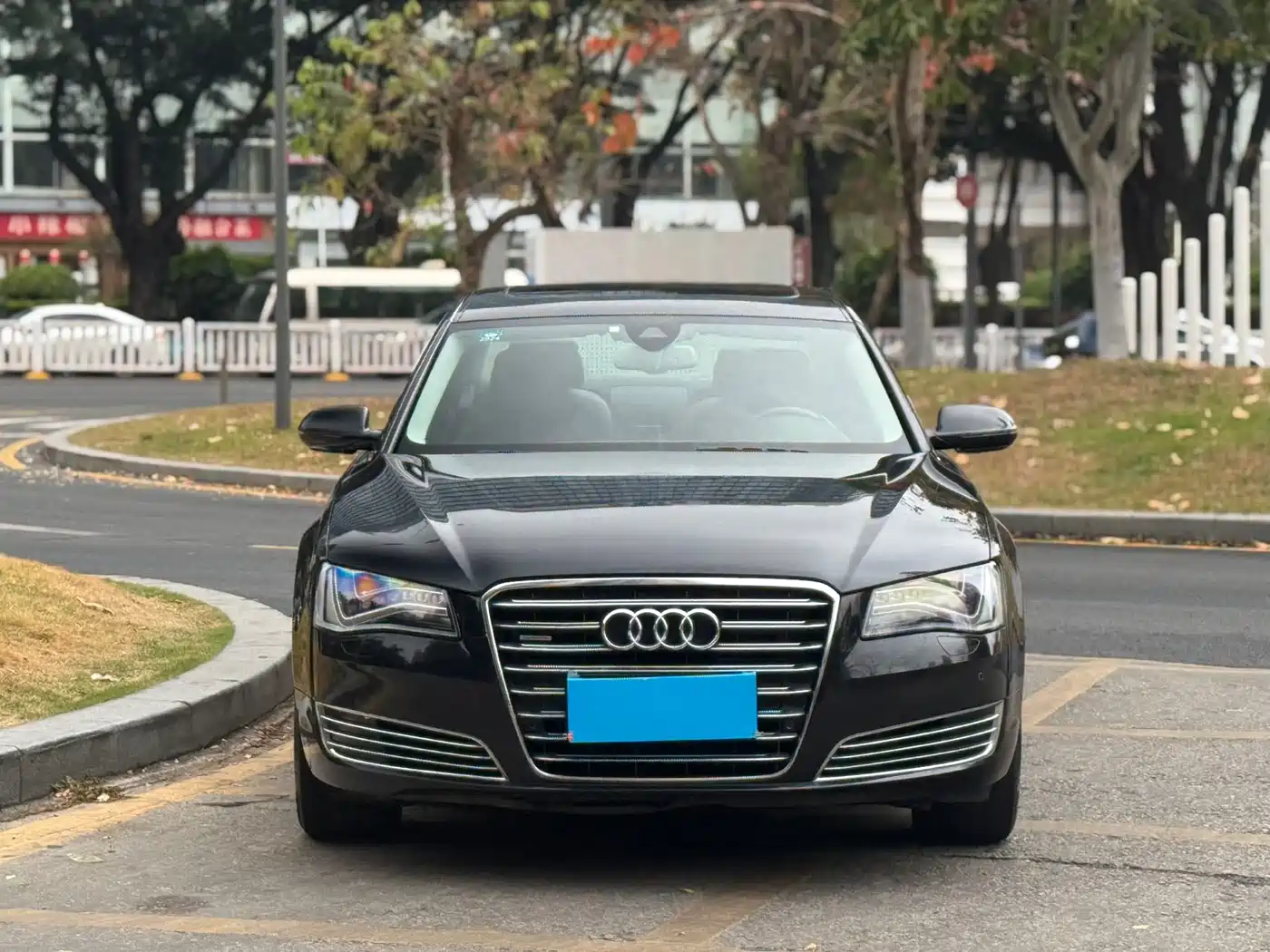 Audi A8 2013 A8L 45 TFSI quattro Luxury фото 2