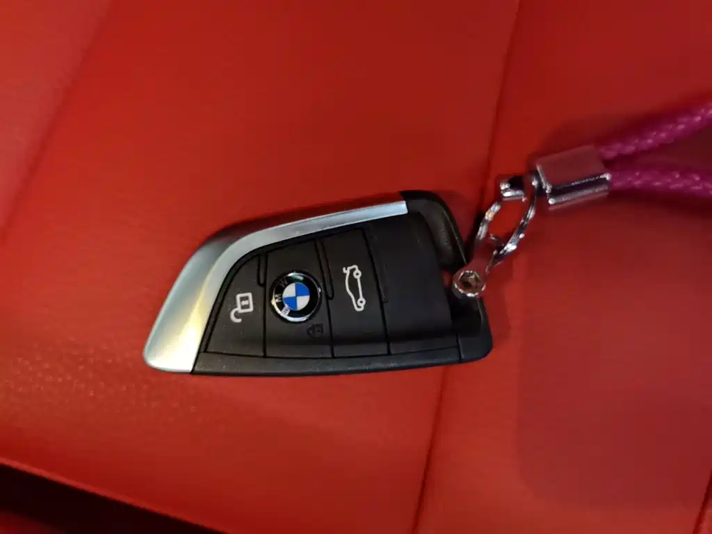 BMW X2 2020 2020 sDrive25i Premium M Off-Road Package