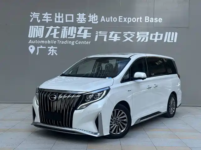 Trumpchi M8 Мастер, 390T, Максимум
