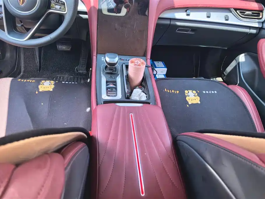 Hongqi H5 2024 2.0T Automatic Smart Connect Flag Smooth Edition фото 16