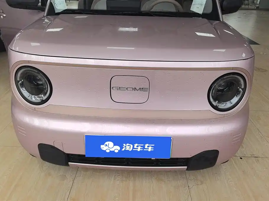 Geely Galaxy Panda 2024 Panda mini 200km Endurance Bear фото 2