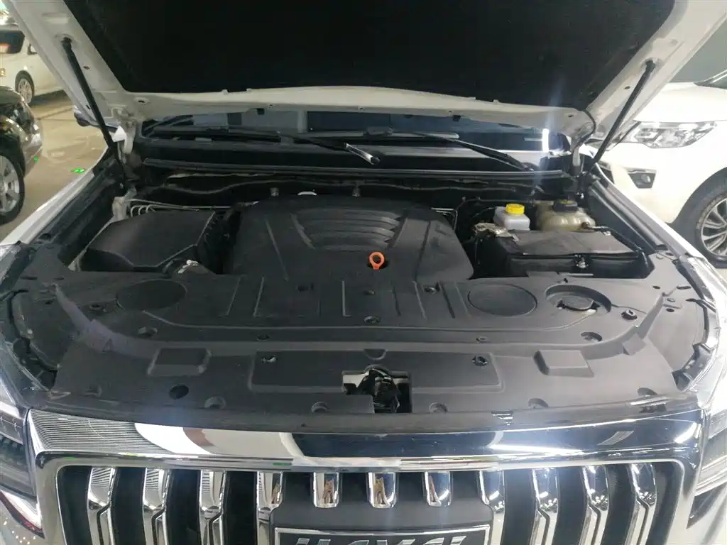 Haval H9 2022 2.0T Gasoline 4WD Smart Enjoyment 5-seater фото 20